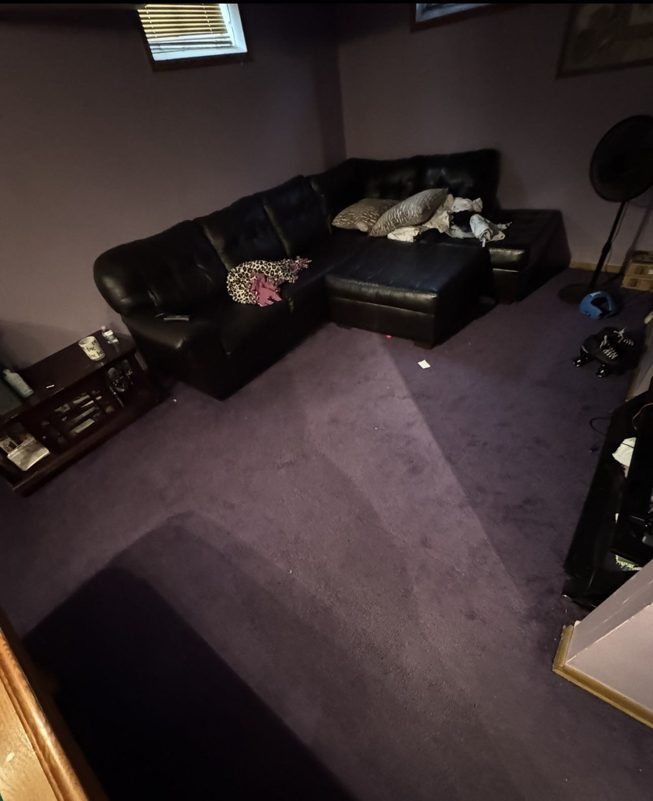 Living room before cleaning - carpet stained with debris on floor