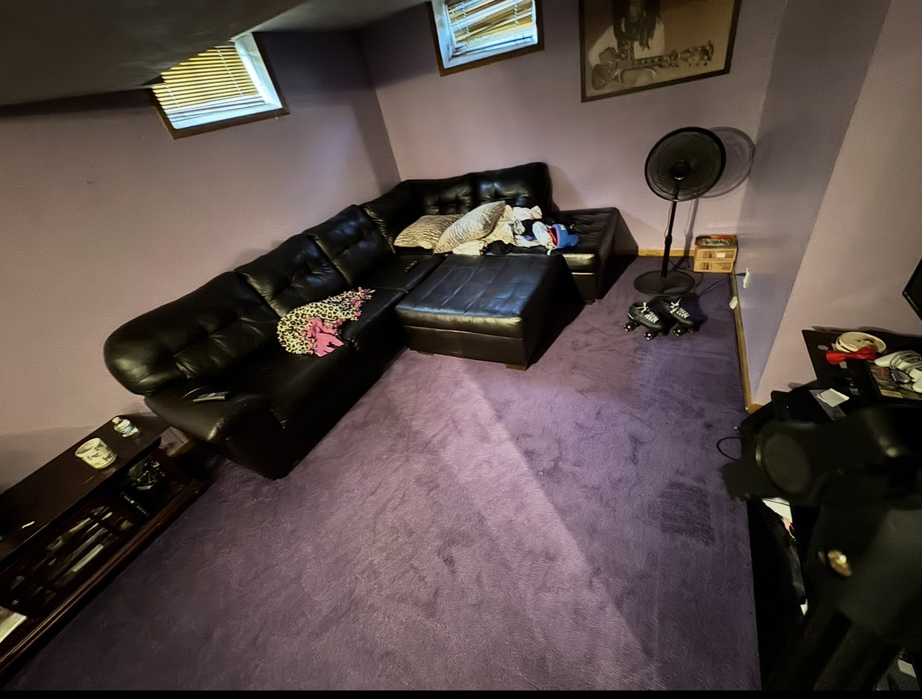 Living room after cleaning - carpet freshened and space tidied